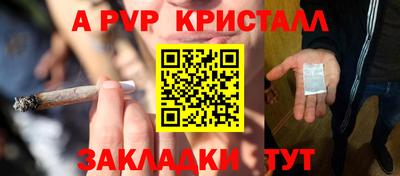 сатива Гатчина