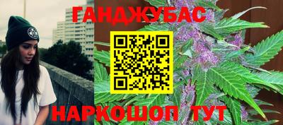 сатива Гатчина