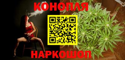сатива Гатчина