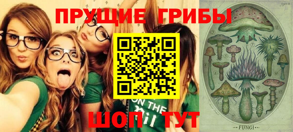 Псилоцибиновые грибы Psilocybine cubensis Юрга