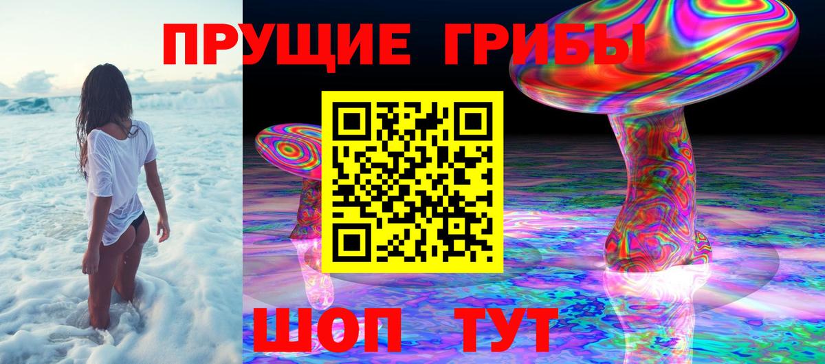 Псилоцибиновые грибы Cubensis  Вход с VPN  где можно купить   Юрга  Псилоцибиновые грибы мицелий 